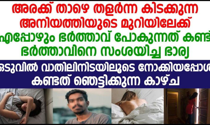 അനിയത്തിയുടെ റൂമിലേക്ക് എപ്പോഴും പോകുന്ന ഭർത്താവ് ഒളിഞ്ഞു നോക്കിയപ്പോൾ ഭാര്യ കണ്ടത് കണ്ടോ