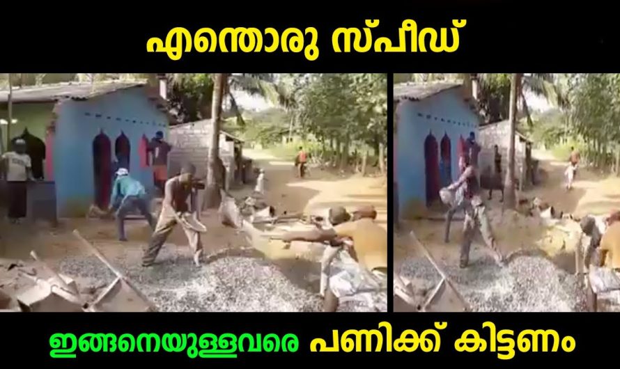യന്ത്രങ്ങളെ തോൽപ്പിക്കുന്ന സ്‌പീഡ്‌, എന്തൊരു സ്പീഡ്… ഇങ്ങനെയുള്ളവരെ വേണം പണിക്ക്