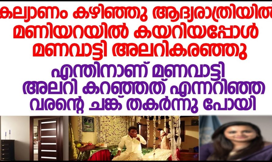 ഒരുപാട് ആളുകൾ ഉപദ്രവിച്ച ആ കുട്ടിയെ തന്നെ നിനക്ക് വിവാഹം ചെയ്യണോ? എന്ന അച്ഛന്റെ ചോദ്യത്തിന് മുമ്പിൽ വര ൻ പറഞ്ഞ മറുപടി കണ്ടോ