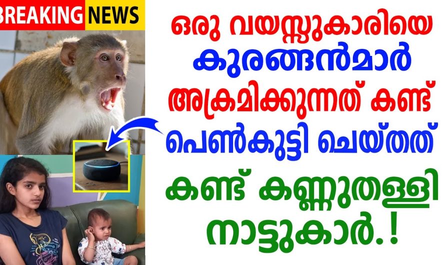 ഈ 13 വയസ്സുകാരി കുഞ്ഞിന്റെ ജീവൻ രക്ഷിക്കാൻ ചെയ്തത് കണ്ടോ?