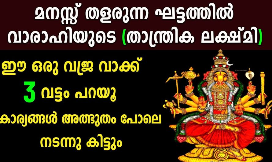 ഇങ്ങനെ ഉടനെ വാരാഹിയെ വിളിക്കൂ, കാര്യങ്ങൾ കൈവിട്ടു പോകും എന്ന് കണ്ടാൽ