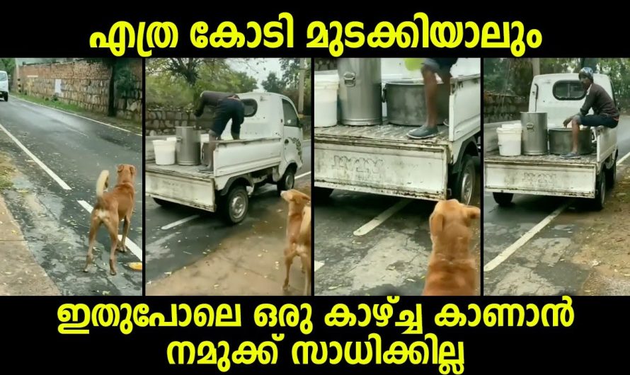 ഇനി ഇതുപോലെ ഒരു കാഴ്ച എത്ര കോടികൾ മുടക്കിയാലും കാണാൻ നമുക്ക് കഴിയില്ല