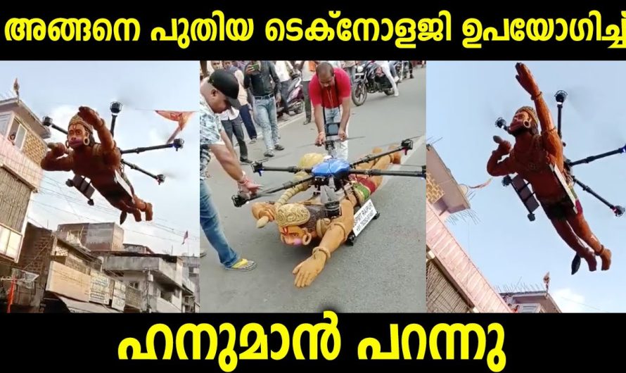 എങ്ങനെയുണ്ട് ഈ പുതിയ ഐഡിയ? പൊളി അല്ലേ!