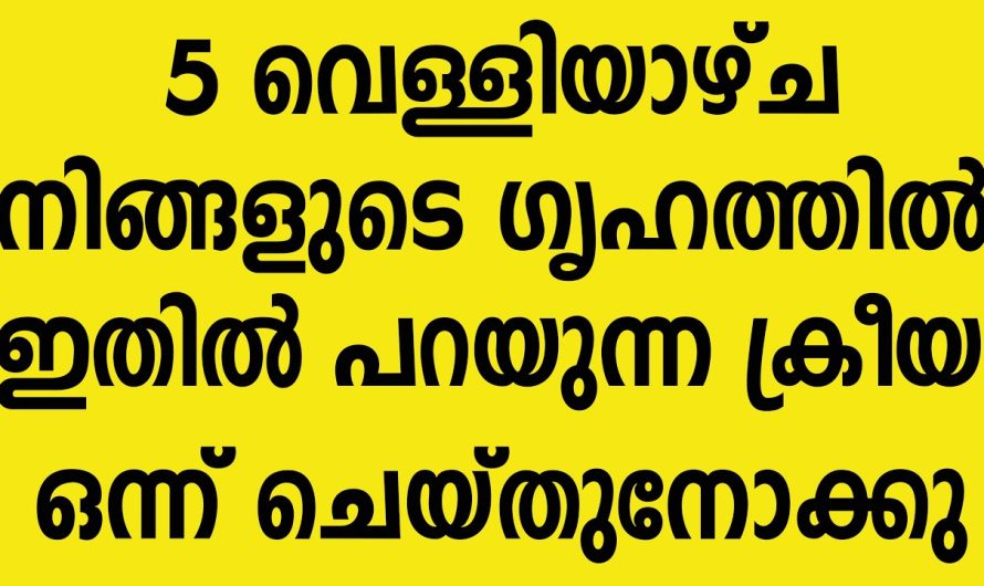 കുടുംബത്തിൽ ഐശ്വര്യം ഉണ്ടാകട്ടെ, ഒഴിഞ്ഞു പോകട്ടെ കടവും കടബാധ്യതകളും!!