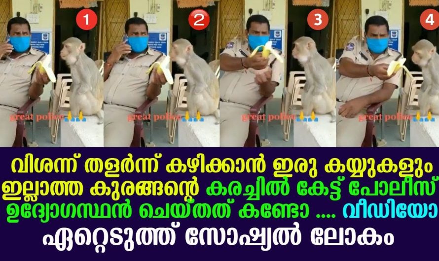 ഇരു കയ്യുകളും ഇല്ലാത്ത കുരങ്ങന് വിശന്ന് തളർന്ന് കഴിക്കാൻ കരച്ചിൽ കേട്ട് പോലീസുകാരൻ ചെയ്തത് കണ്ടോ !