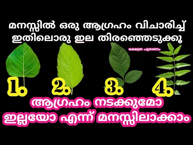 എത്ര ദിവസം കൊണ്ട് മനസ്സിലെ ആഗ്രഹം നടക്കും എന്ന് തൊടുകുറി ശാസ്ത്രം കൊണ്ട് ക്യത്യമായി മനസ്സിലാക്കാം