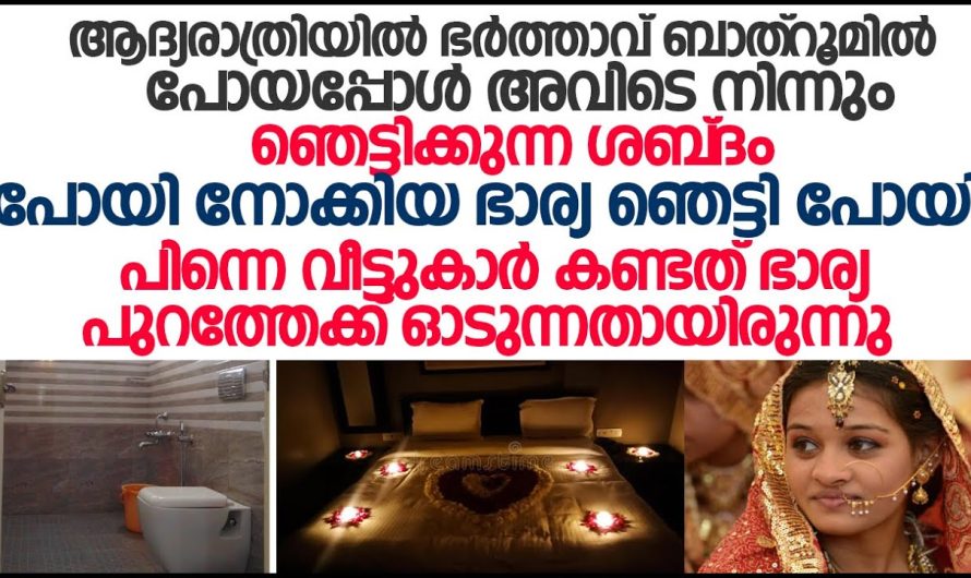 മണിയറയിൽ നിന്നും വലിയ ശബ്ദം കേട്ട് വീട്ടുകാർ വാതിൽ തുറന്നു നോക്കിയപ്പോൾ, പുറത്തേക്ക് ഓടുന്ന വധു പിന്നീട് അവിടെ നടന്നത് കണ്ടോ