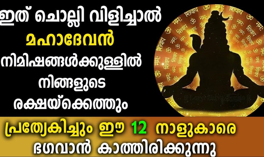 നിമിഷങ്ങൾക്കുള്ളിൽ ശിവൻറെ രക്ഷ നേടാം, ഇതു മനസ്സിൽ ഉരുവിട്ടാൽ, ഈ 12 നാളുകാർക്ക്