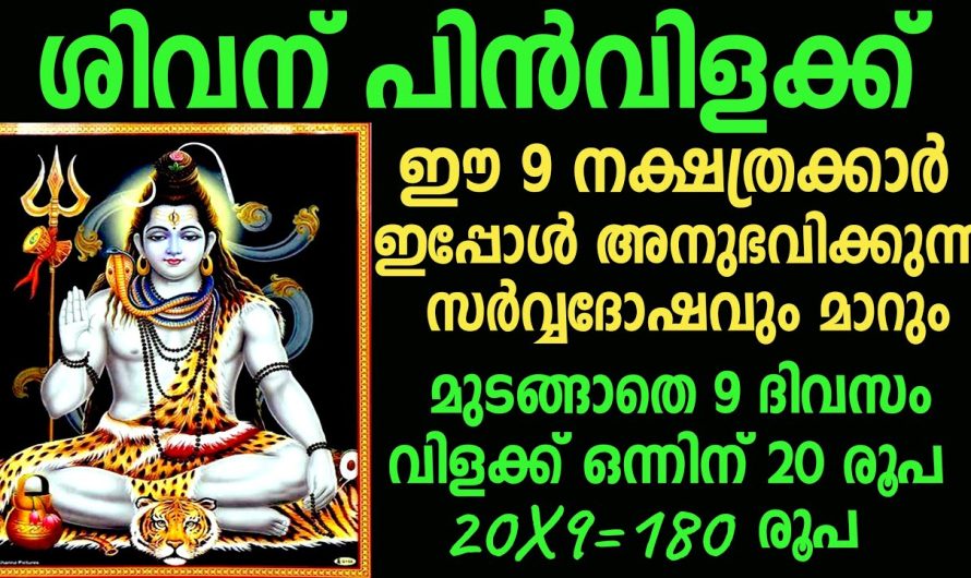 ശിവന് പിൻവിളക്ക് 9 ദിവസം ഈ പറയും വിധം ചെയ്തു കഴിഞ്ഞാൽ,  കുതിച്ചുയരും ഐശ്വര്യവും സമ്പത്തും