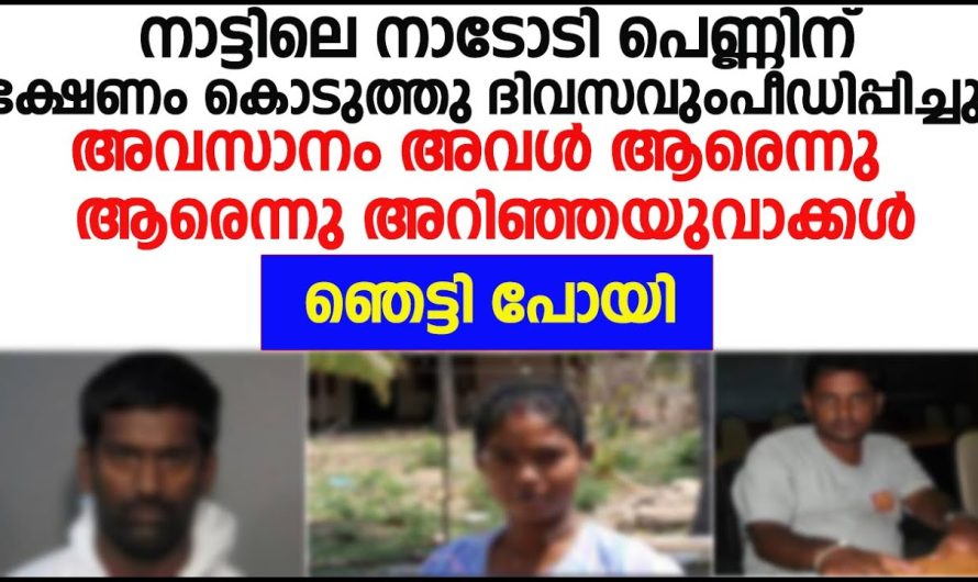 നാടോടിയായി വന്ന പെണ്ണിനെ ദിവസവും ഉപ.ദ്ര.വിച്ച ആൾക്ക് അവസാനം സംഭവിച്ചത് കണ്ടോ!