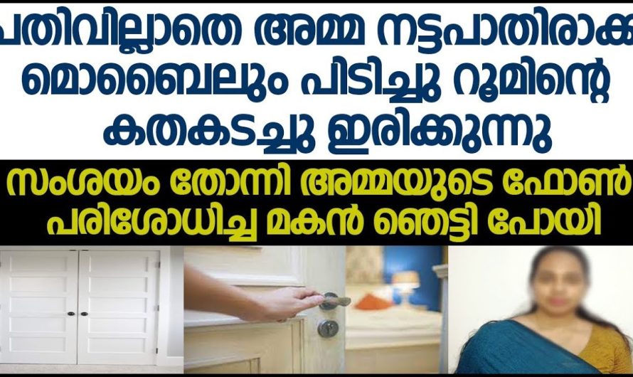 അമ്മ വാതിൽ അടച്ച് നട്ടപ്പാതിരയ്ക്ക് കൊടുത്തിരുന്നു ഫോണിൽ ചാറ്റ് ചെയ്യുന്നു ഫോൺ ചെക്ക് ചെയ്ത മകൻ കണ്ടത്