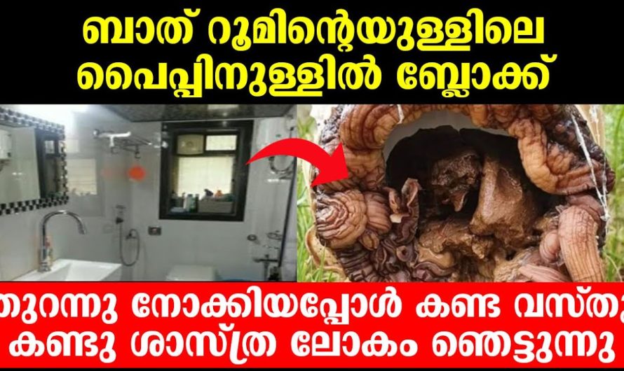 ബ്ലോക്ക് ബാത്റൂമിന്റെയുള്ളിലെ പൈപ്പിനുള്ളിൽ, നോക്കിയപ്പോൾ കണ്ട വസ്തു കണ്ടു ശാസ്ത്ര ലോകം ഞെട്ടുന്നു