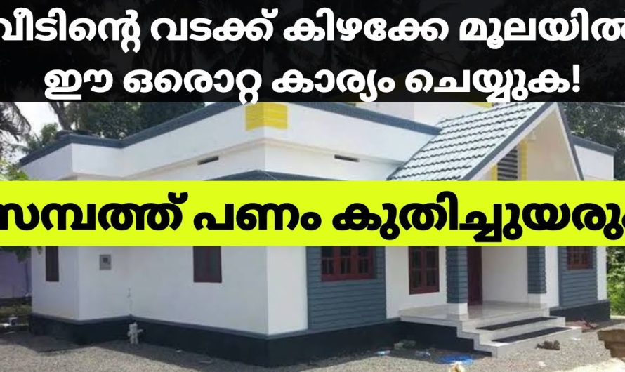 വീടിന്റെ വടക്ക് കിഴക്കേ മൂലയ്ക്ക് ഈ ഒരൊറ്റ കാര്യം ചെയ്‌താൽ മതി ജീവിതം രക്ഷപെടും കഷ്ടകാലം തീരും