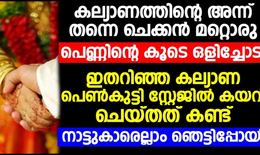 ചെക്കനെ ഒളിച്ചോടി എന്നുള്ള വാർത്ത കേട്ട് പെണ്ണ് പറഞ്ഞത് കേട്ടോ ആരും കൊതിച്ചു പോകും ഇതുപോലെയുള്ള ഒരു മരുമകളെ കിട്ടാൻ