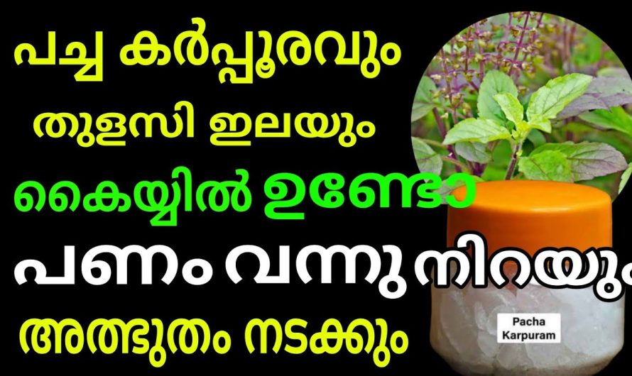 തുളസി ഇലയോ കൈയ്യിലുണ്ടോ? പച്ച കർപ്പൂരമോ? ഇനി നിങ്ങളെ പണത്തിന്റെ ബുദ്ധിമുട്ട് ബാധിക്കില്ല