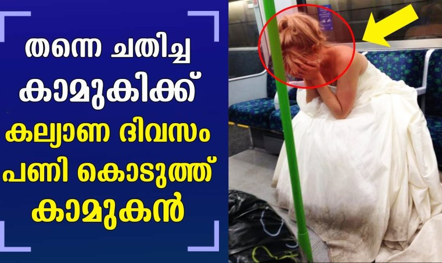 കല്യണദിവസം തന്നെ ചതിച്ച കാമുകിക്ക് പണി കൊടുത്തത് കണ്ടോ, ഇതാവണം പ്രതികാരം