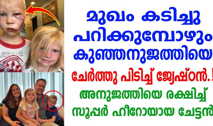 ജേഷ്ഠൻ തന്റെ കുഞ്ഞു പെങ്ങളുടെ ജീവൻ രക്ഷിക്കാൻ ചെയ്തത് കണ്ടോ!
