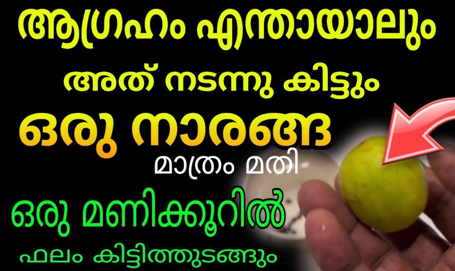 ഇന്ന് ഇത് ചെയ്താൽ ആഗ്രഹം നടക്കും ! സമ്പന്നനാകുകയും ചെയ്യും ഒരു മണിക്കൂറിൽ