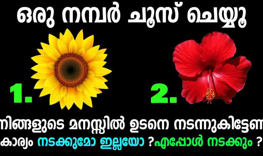 നിങ്ങളുടെ മനസ്സിലുള്ള കാര്യം നടക്കുമോ ഇല്ലയോ, കൃത്യമായി അറിയാം തൊടുകുറി