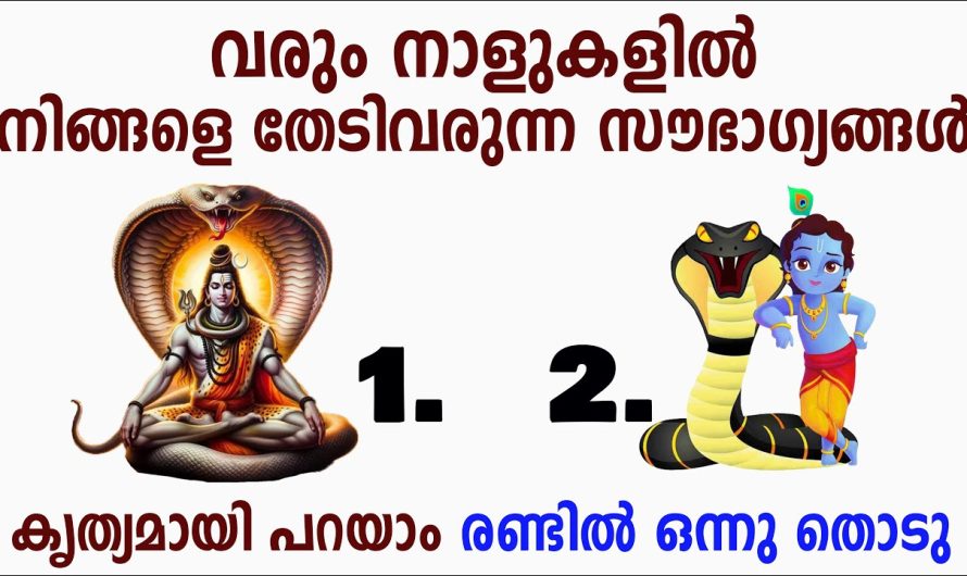 വരും നാളുകളിൽ നിങ്ങളെ തേടിവരുന്ന സൗഭാഗ്യങ്ങൾ പറയാം, കേട്ടുനോക്കി നോക്ക്