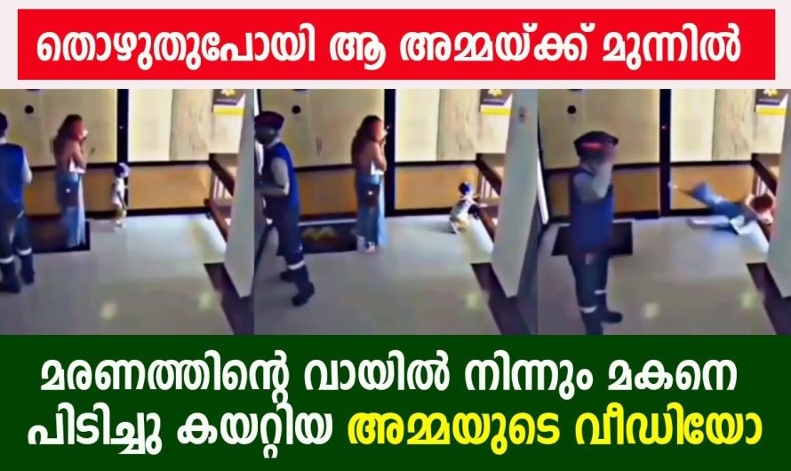 ഒരു നിമിഷം ഏവരും ആ അമ്മയെ അത്ഭുതത്തോടുകൂടി നോക്കി നിന്നുപോയി