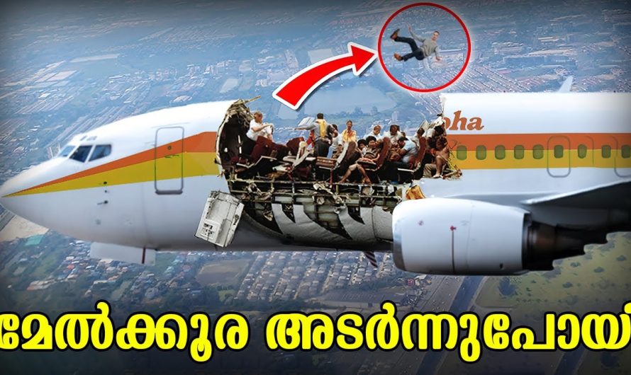 വിമാനത്തിന്റെ മേൽക്കൂര ഇളകിപോയി അതും, 24000 അടി ഉയരത്തിൽ വെച്ച്