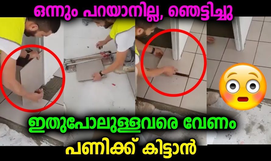 ഇതുപോലുള്ളവരെ പണിക്ക് കിട്ടിയാൽ ഒന്നും പറയാനില്ല, അതിലും വലിയ ഭാഗ്യമില്ല വേറെ ഇല്ലാ എന്ന് തന്നെ പറയാം