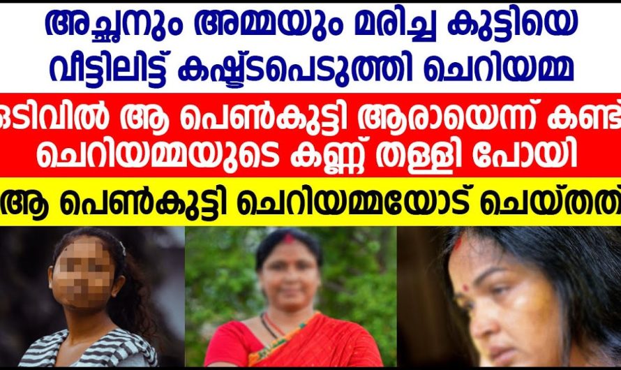 അച്ഛനും അമ്മയും മരിച്ച കുട്ടിയെ താൻ വളർത്താം എന്ന പേരിൽ വീട്ടിലേക്ക് കൊണ്ടുവന്ന ചെറിയമ്മ ചെയ്തത് കണ്ടോ!