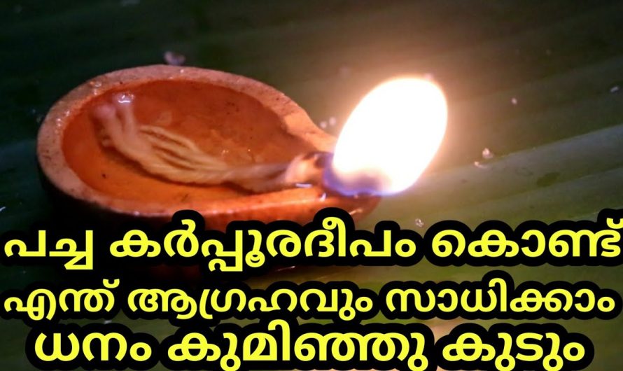 ധനം കുമിഞ്ഞുകൂടാൻ ഒരു പച്ച കർപ്പൂരദീപം മതി, രഹസ്യമായി ചെയ്താൽ ഫലം ഉറപ്പ്