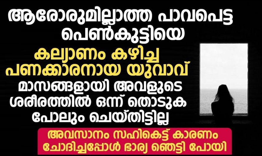 നോക്കികൊണ്ട് ഇരിക്കാനാണ് എങ്കിൽ വല്ല പാവയെ കല്യാണം കഴിച്ചാൽ മതിയായിരുന്നില്ലേ എന്നെ എന്തിനാണ് വെറുതെ കൊണ്ടുവന്നത് ക്ഷമകെട്ട് അവൾ ആ ചോദ്യം ചോദിച്ചു