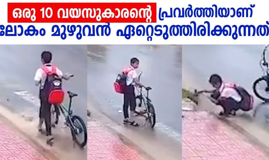 ഈ കുഞ്ഞിന്റെ പ്രവർത്തിയാണ് ഇപ്പോൾ ലോകം മുഴുവനായിട്ട് ഏറ്റെടുത്തിട്ടുള്ളത് അതിനുമാത്രം ഇവൻ എന്താണ് ചെയ്തത് എന്ന് കണ്ടോ