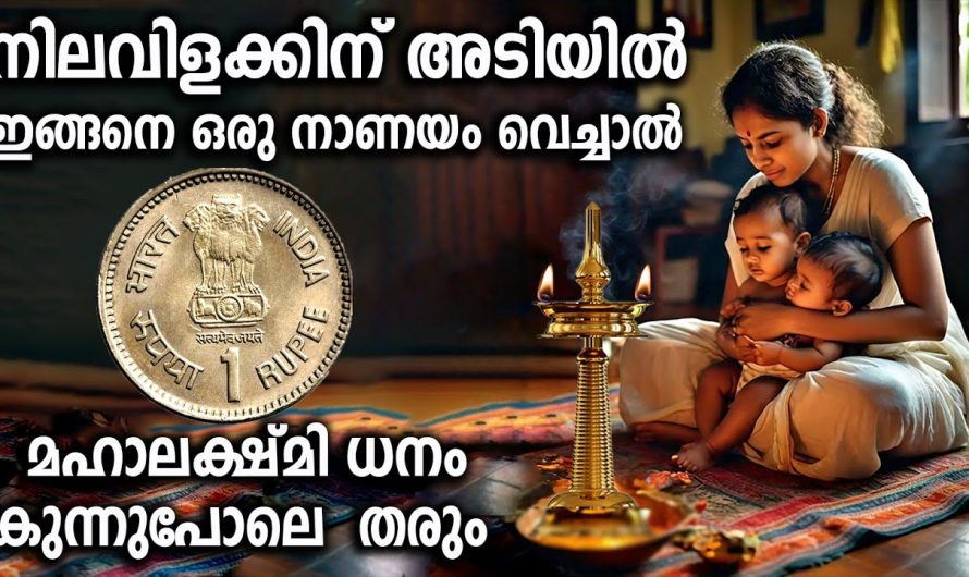 ഇങ്ങനെ ഒരുനാണയം വെച്ചാൽ, ഇന്ന് മുതൽ സന്ധ്യാവിളക്ക് തെളിക്കുമ്പോൾ, ധനം വന്നു കുന്നു കൂടും