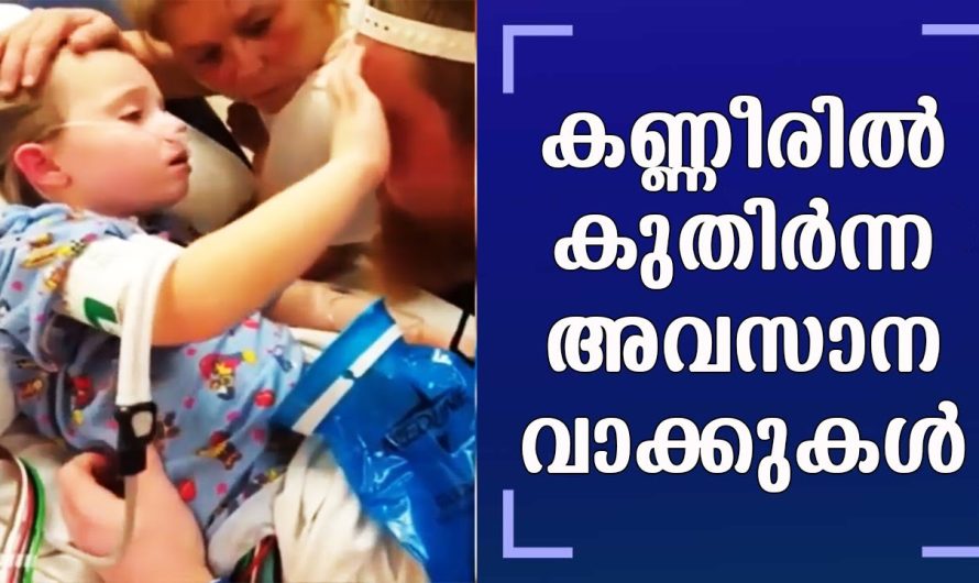 തന്റെ മാതാപിതാക്കളോട് ശ്വാസം നിലക്കുന്നതിന് തൊട്ട് മുൻപ് ആ കുഞ്ഞു പറഞ്ഞത് കേട്ടാൽ, ആരുടെയും കരളലിയിക്കും