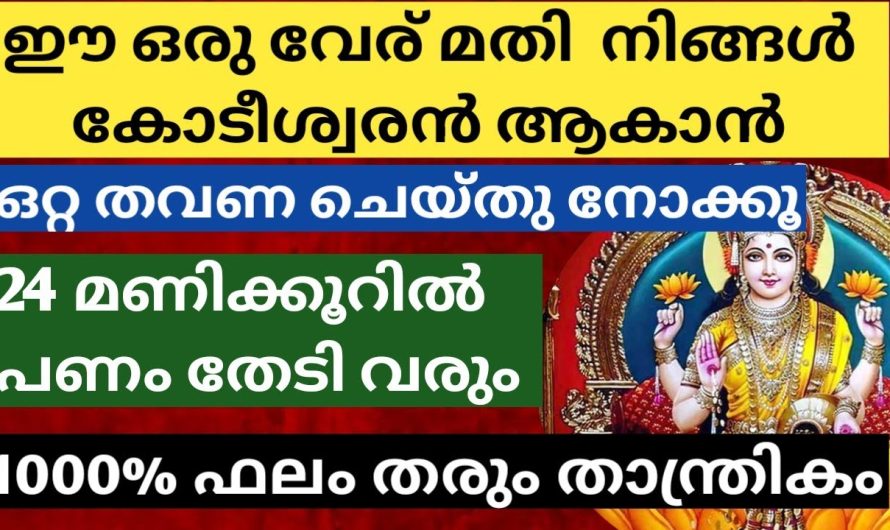 നിങ്ങളുടെ പണക്കഷ്ടം എല്ലാം ഒറ്റയടിക്ക് തീരും, ഈ ഒറ്റ വേരു മതി
