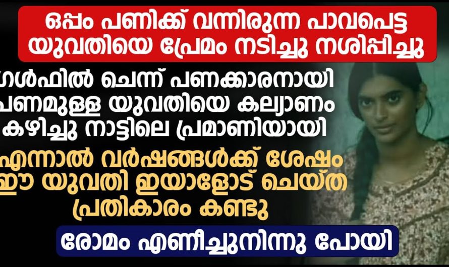 ചതിച്ചു ഗൾഫിലേക്ക് കടന്നു പണക്കാരനായി തിരിച്ചുവന്ന യുവാവിനോട് പാവപ്പെട്ട ജോലി ചെയ്ത് പ്രതികാരം കണ്ടോ, ഞെട്ടി നാട്ടുകാരും ബന്ധുക്കളും