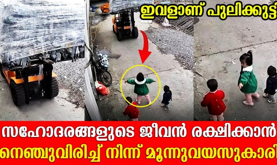 സ്വന്തം ജീവൻ പണയം വെച്ച് കൊണ്ട് സഹോദരങ്ങളെ രക്ഷിക്കാൻ തയ്യാറായ 3 വയസുകാരി പെൺകുട്ടി