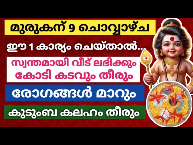 ഈ പരിഹാരം മുരുക ഭാഗവാന് 9 തവണ ചെയ്‌താൽ… കോടി കടങ്ങൾ തീരും, പണം വീട് തേടി വരും!