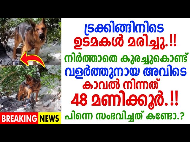 നായ അവർക്ക് കാവൽ നിന്ന് 48 മണിക്കൂർ, ഈ സംഭവം വിശ്വസിക്കാൻ കഴിയാതെ നാട്ടുകാർ