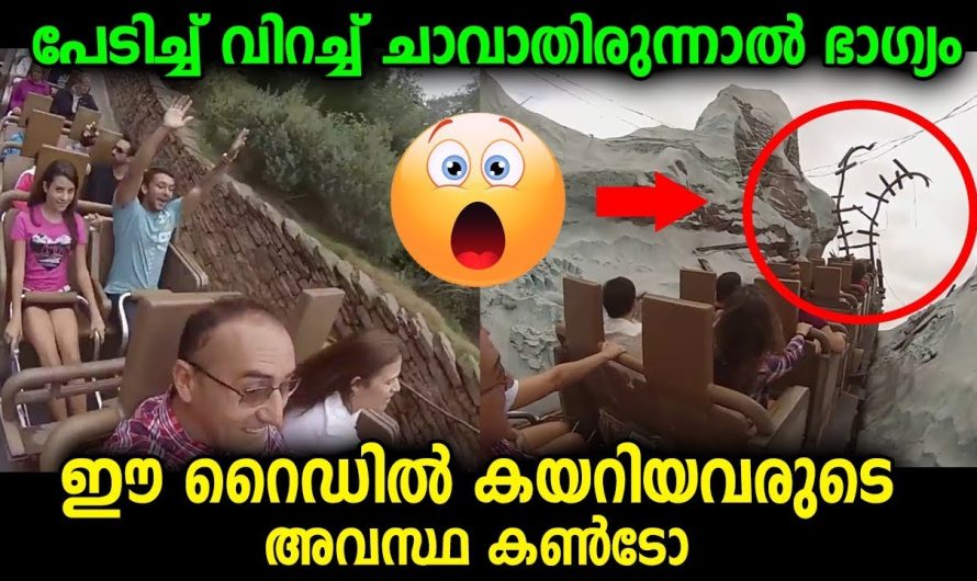 ഉല്ലാസയാത്രക്ക് പോയി ആദ്യം ചിരിച്ചെങ്കിലും, പിന്നീട്  റൈഡിൽ കയറിയവർ പേടിച്ചു വിറച്ച കാഴ്ച