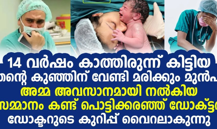 അമ്മ 14 വർഷം കാത്തിരുന്ന് കിട്ടിയ കുഞ്ഞിന് നൽകിയ ആ സമ്മാനം കണ്ടോ, കുറിപ്പ് വളരെ വൈറലാകുന്നു …!!!