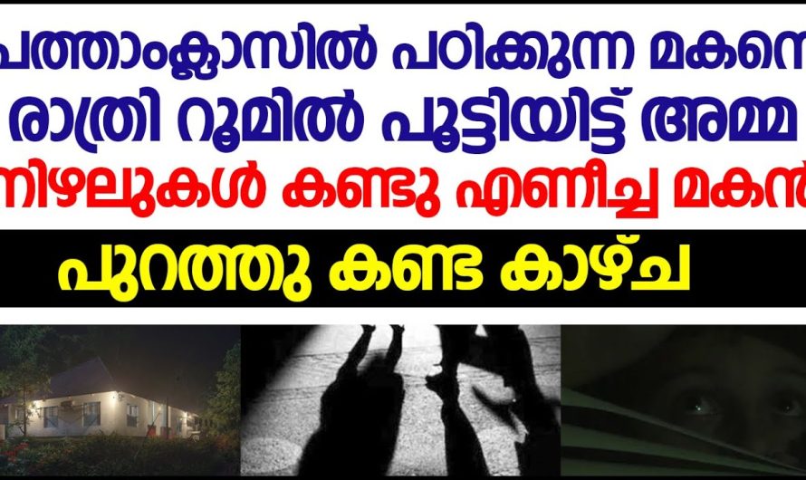 ഉറക്കം എഴുന്നേറ്റു മകൻ അമ്മയെ നോക്കുമ്പോൾ കാണാനില്ല പുറത്ത് രണ്ട് പേരുടെ സംസാരം അതുകേട്ട് മകൻ ഞെട്ടി