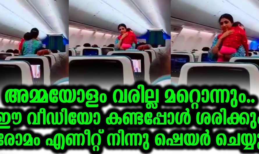ശരിക്കും രോമാഞ്ചം വന്നു  ഈ വീഡിയോ കണ്ടപ്പോൾ അമ്മയോളം വരില്ല മറ്റൊന്നും