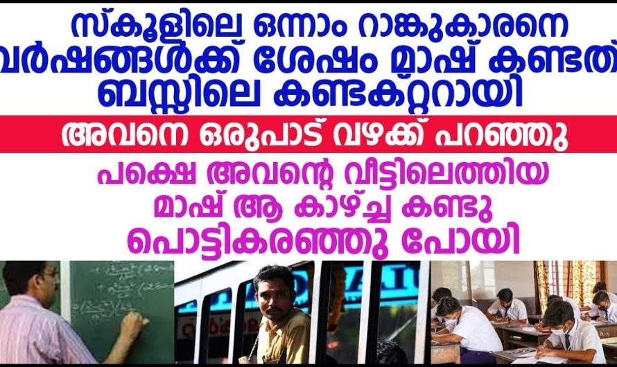 പ്രിയപ്പെട്ട വിദ്യാർത്ഥിനിയെ വർഷങ്ങൾക്ക് ശേഷം ബസ് കണ്ടക്ടർ ആയി കാണുന്ന മാഷ്, ഇങ്ങനെ ആയിത്തീരാനുള്ള കാരണം അവൻ പറയുന്നത് കേട്ട് മാഷ് പൊട്ടിക്കരഞ്ഞു പോയി