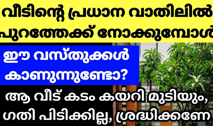 വാസ്തുദോഷത്തിന് കാരണമാകും, വീടിനുള്ളിൽ നിന്ന് നോക്കുമ്പോൾ കാണുന്ന കാഴ്ചകൾ, അറിയാതെ പോകല്ലേ ഇതിനെ കുറിച്ച്