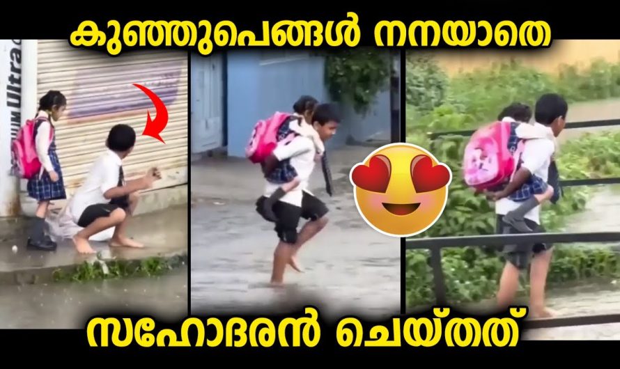 സഹോദരി നനയാതിരിക്കാൻ സഹോദരൻ ചെയ്തത്, ഇതാണ് കളങ്കമില്ലാത്ത സഹോദരസ്നേഹം..