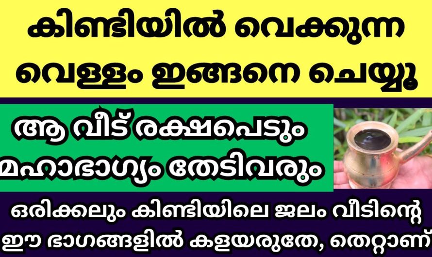 ഇങ്ങനെ ഒന്ന് ചെയ്ത് നോക്കിക്കേ, കിണ്ടിയിലെ തീർത്ഥം കൊണ്ട് വീട് രക്ഷപെടുനത് കാണാം