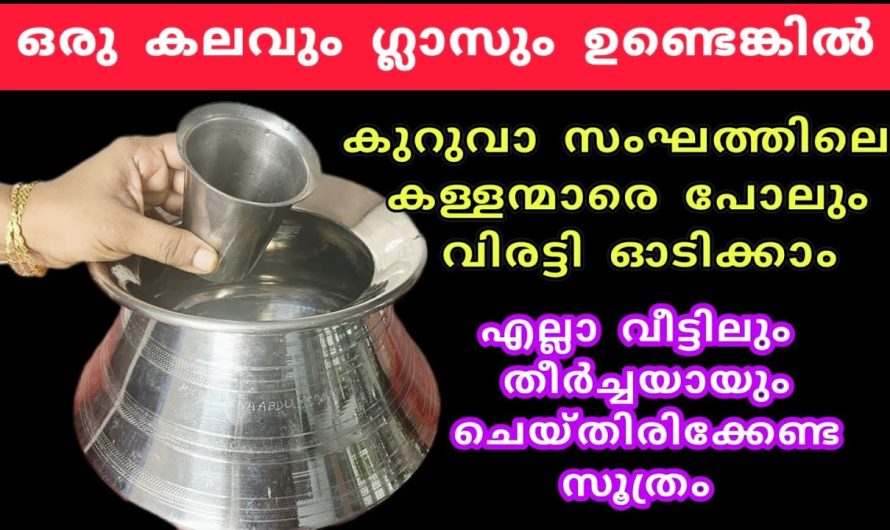 എല്ലാ വീട്ടിലും തീർച്ചയായും ചെയ്യേണ്ട സൂത്രം ഇതറിയാതെ പോകല്ലേ, ഒരു കലവും ഗ്ലാസും കൊണ്ട്