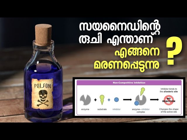 കൊടും വിഷത്തിൻറെ രുചിയറിഞ്ഞ ആദ്യത്തെ മനുഷ്യനെ കുറിച്ച് അറിയാം..