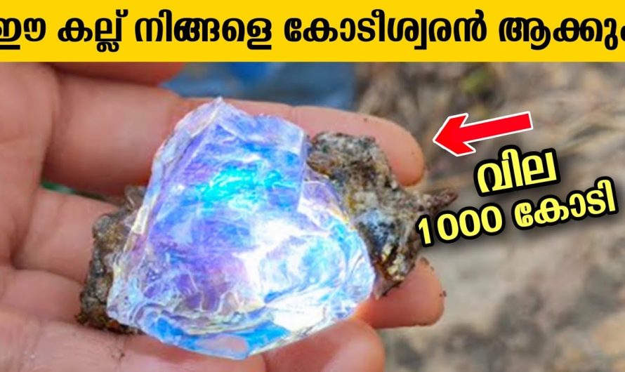 ലോകത്തിലെ വിലകൂടിയ ഡയമണ്ടുകളെ കുറിച്ച് മനസ്സിലാക്കാം..