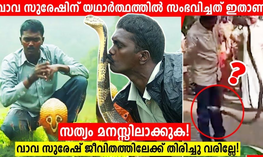 പാമ്പ് കടിച്ചാൽ ശരീരത്തിൽ വിഷം പ്രവർത്തിക്കുന്നത് ഇങ്ങനെയാണ്…